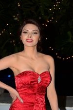 Sherlyn Chopra at Bright Beauty contest on 28th Dec 2016